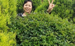 午夜福利1000集2019年